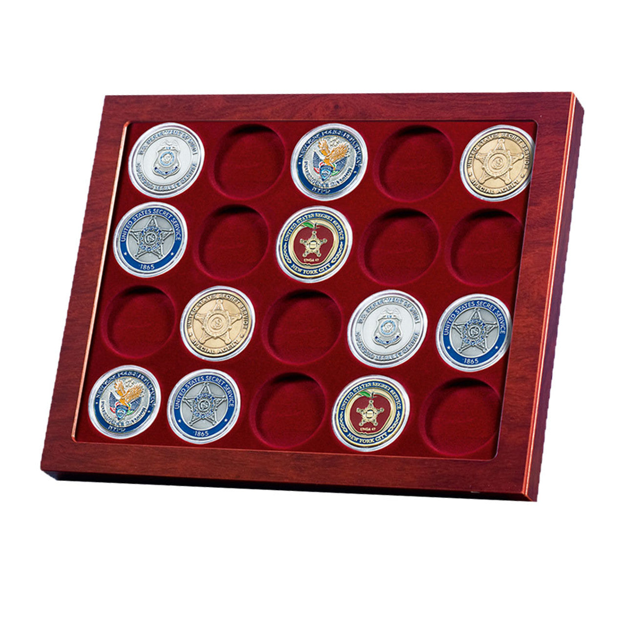 Louvre Coin Showcase for Air-Tite LRG - "H" Coin Holders