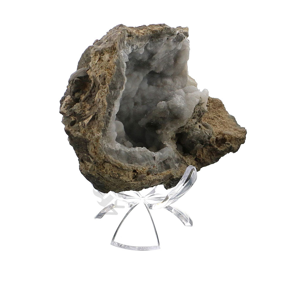 2-1/4" Reversible Three-Prong Tulip Display Stands for Large Eggs and Geodes