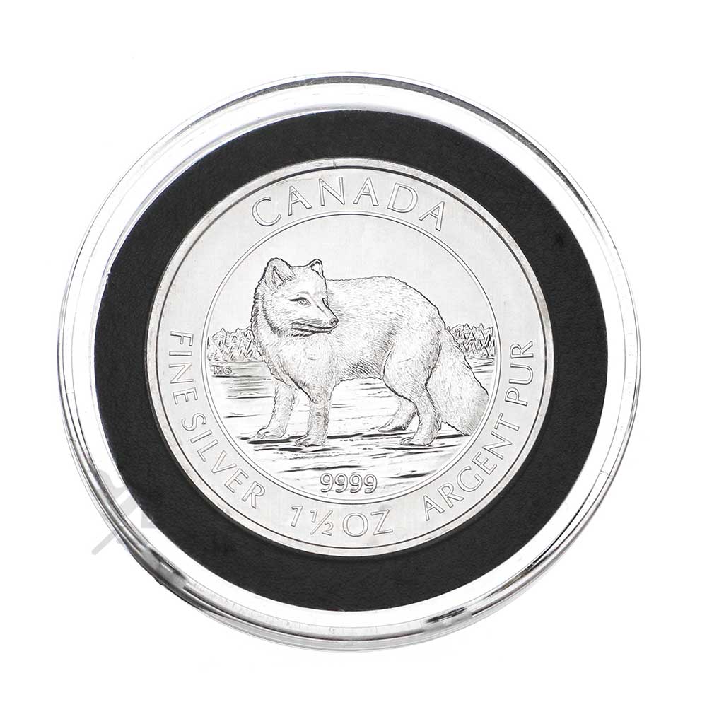 X38mm Ring Fit Coin Holders for 1.25oz Canadian Wildlife Coins