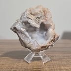 1-1/2" Three-Prong Tulip Display Stands for Eggs Small Fossils and Stones