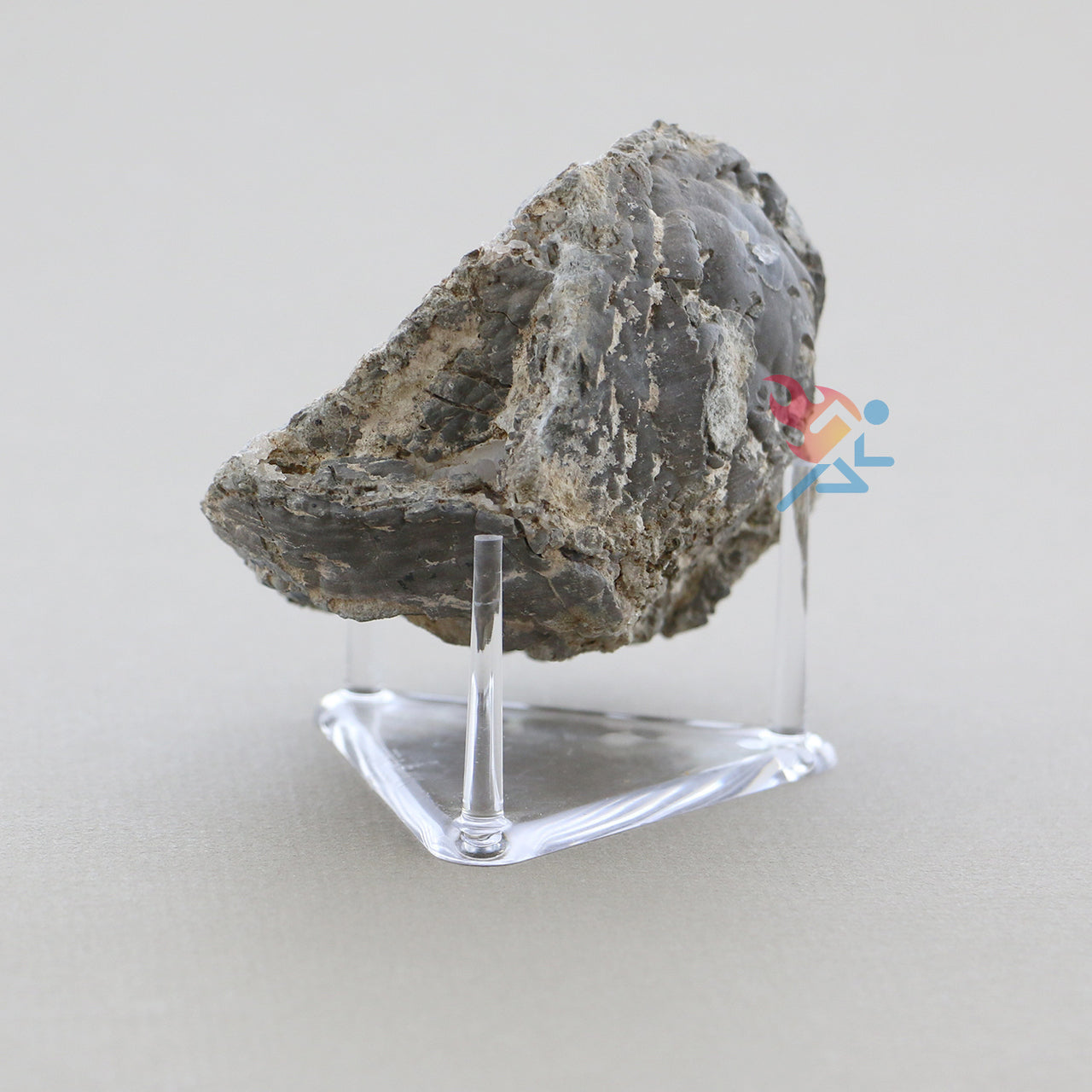 2.5" Angled Triangle 3-Peg Display Stands for Minerals Fossils Geodes