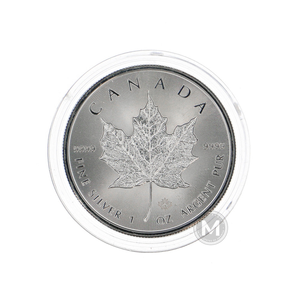 Direct Fit 38mm Coin Holders for 1oz Silver Maple Leaf