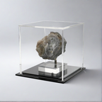 Acrylic Display Case 4" x 4" x 4" Dustproof Showcase