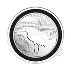 Capsule Tube & 15 Ring Fit 54mm Coin Capsules