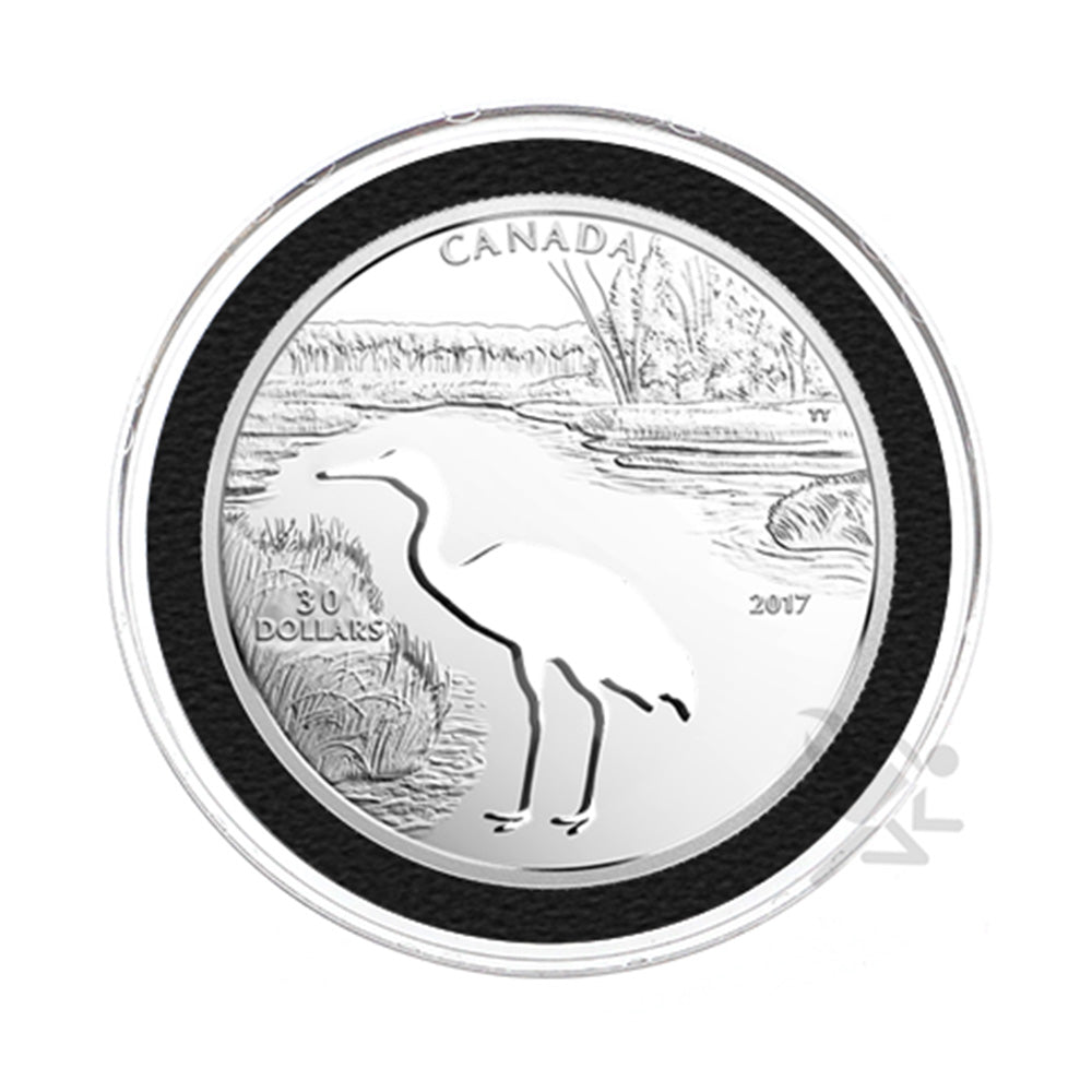 54mm Ring Fit Coin Holders