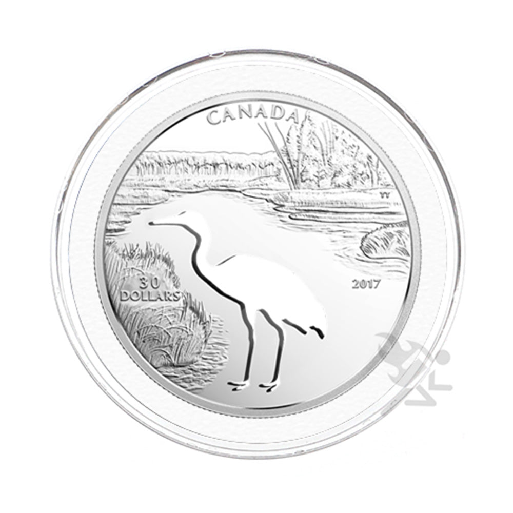 54mm Ring Fit Coin Holders