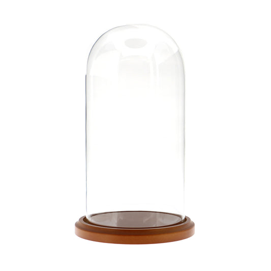 Glass Display Dome Cloche 5.5" x 11" Dustproof Showcase with Walnut Base
