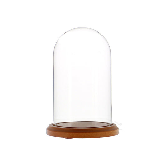Glass Display Dome Cloche 4" x 7" Dustproof Showcase with Walnut Base