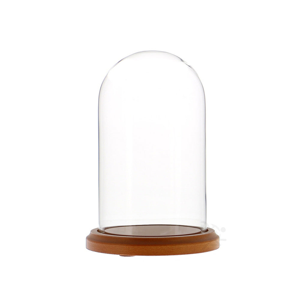 Glass Display Dome Cloche 4" x 7" Dustproof Showcase with Walnut Base