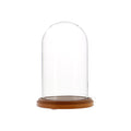 Glass Display Dome Cloche 4" x 7" Dustproof Showcase with Walnut Base