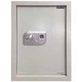 WS-BIO-1 Wall Safe