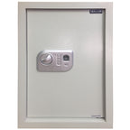 Hollon WS-BIO-1 Wall Safe