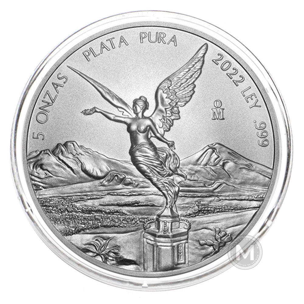 Direct Fit 65mm Coin Holders for 5oz Silver Libertad