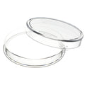 Kilo Direct Fit Coin Holder for 4" Kilo Coins