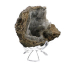 2-3/4" Reversible Three-Prong Tulip Display Stands for Large Eggs and Geodes