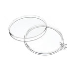 Capsule Tube & 15 Air-Tite Y63 Direct Fit Coin Capsule Holders