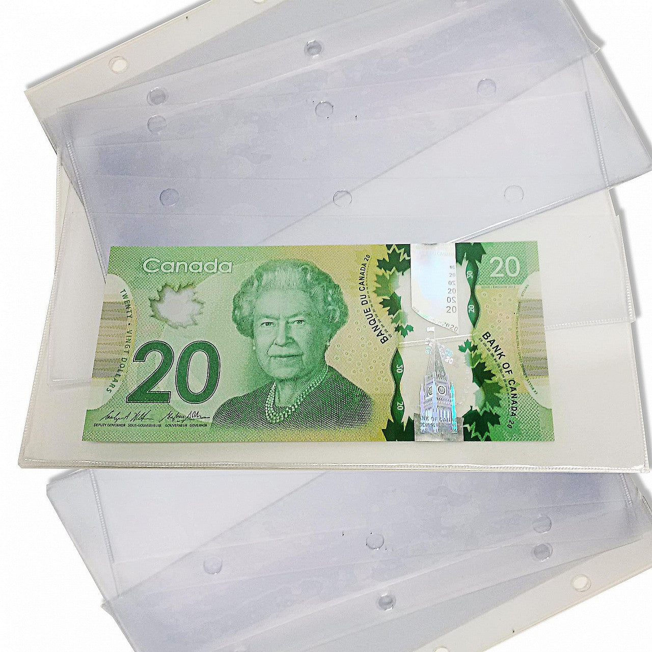 Classic Currency Album 3-Ring Binder Refill Pages 10 Pack